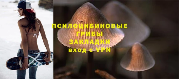 гидропоника Балабаново