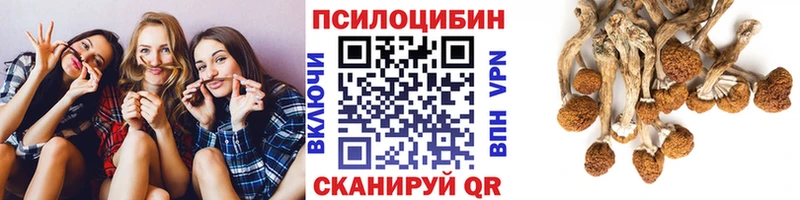 Псилоцибиновые грибы Cubensis  Лесосибирск 